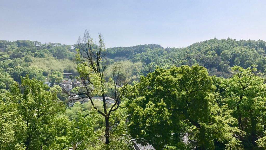 Hangzhou Puyu Travelling With Hotel Extérieur photo